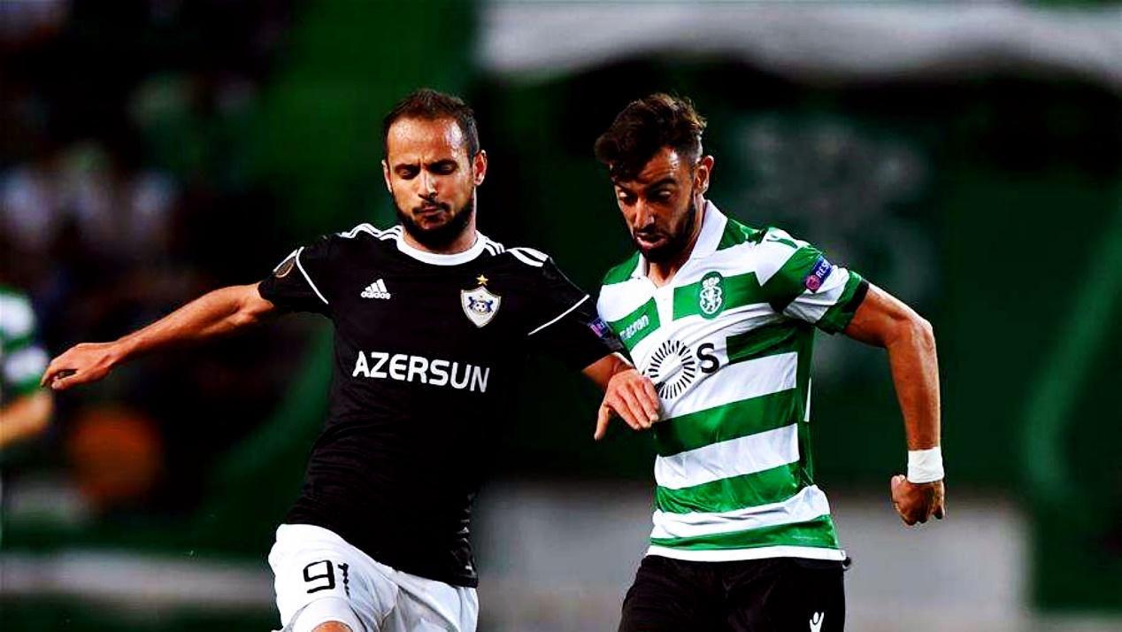 Wet Double Wide-Belt Polish Mac